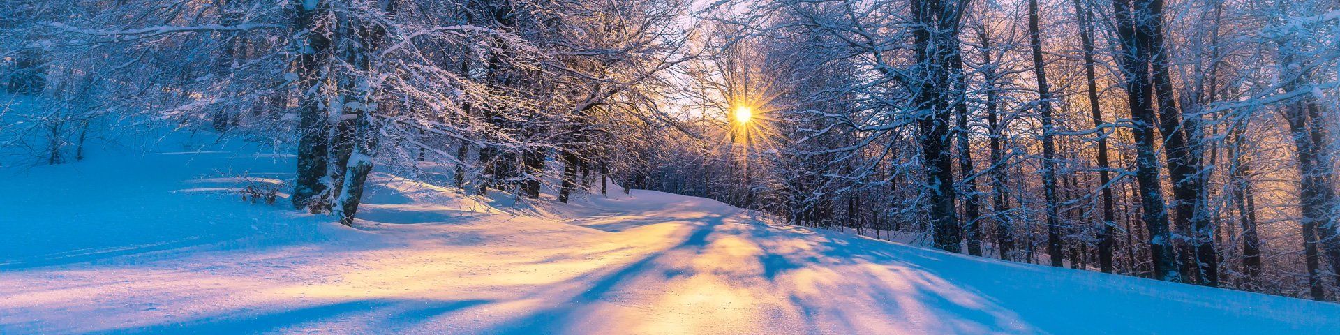 The sun sets behind a snow-covered forest.